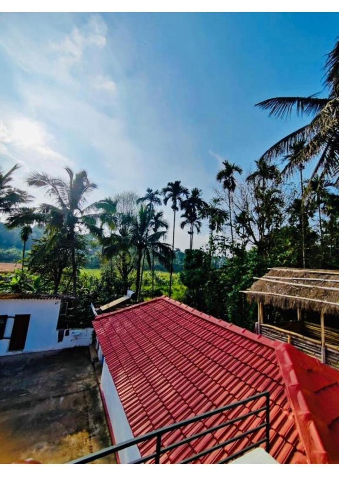 Streaming Valley Independent Coffee Estate Stay Madikeri Bagian luar foto