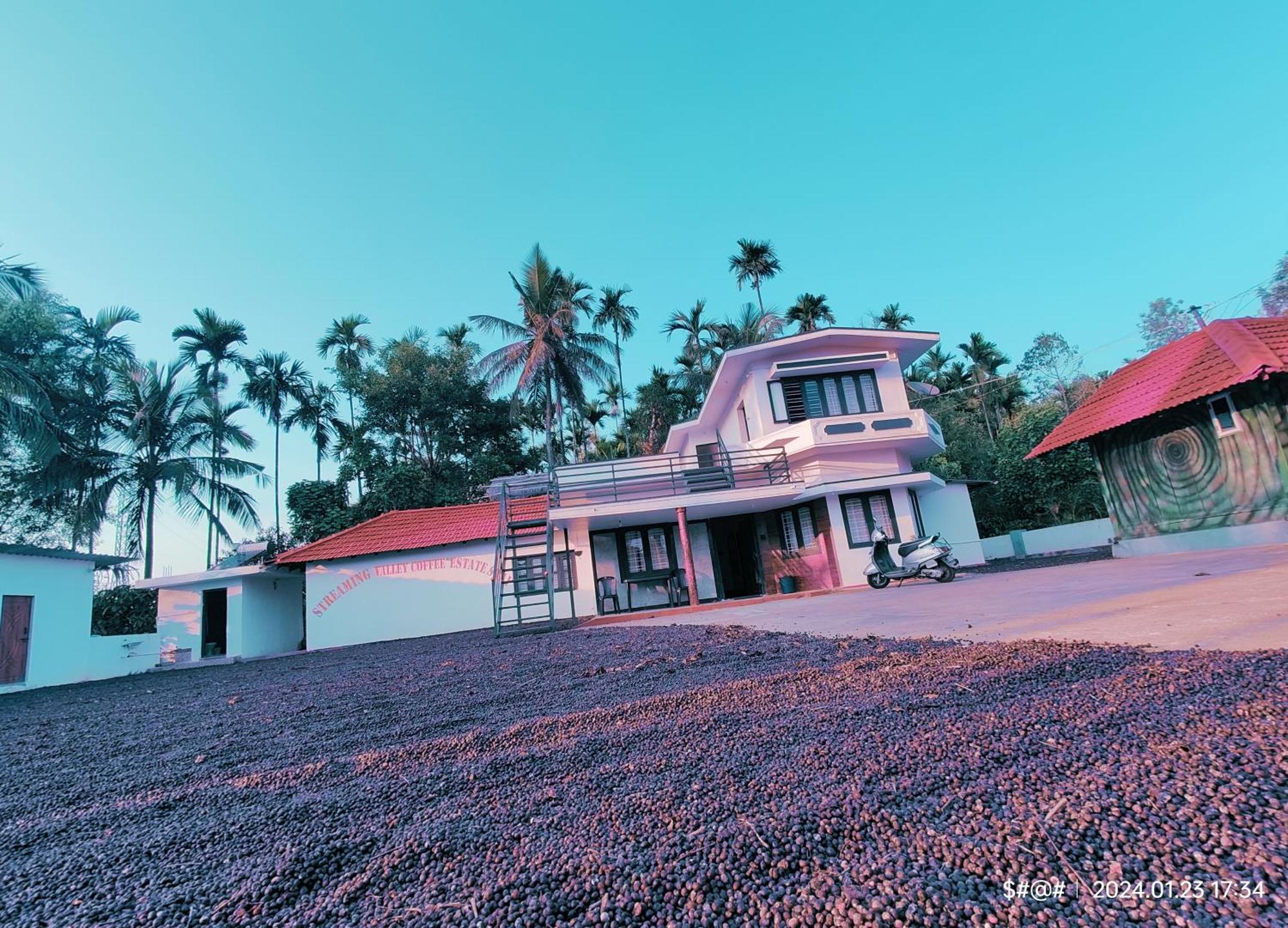Streaming Valley Independent Coffee Estate Stay Madikeri Bagian luar foto